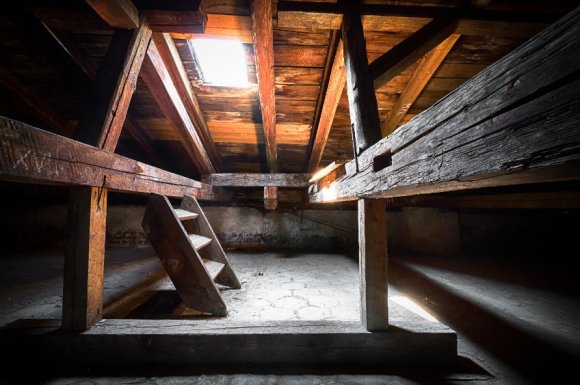 Bureau d'étude pour diagnostic du bois à Lyon